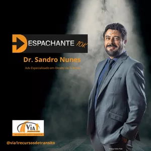 Imagem de capa para o Curso online Despachante 10k