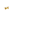 Kingdom Money Collective