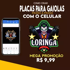 Imagem de capa para o Curso online Placas de gaiola 