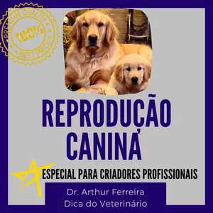 Imagem de capa para o Curso online Criador Profissional de Cães - Reprodução Canina Avançada