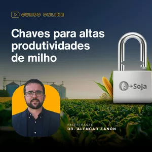Imagem de capa para o Curso online Chaves para altas produtividades de milho