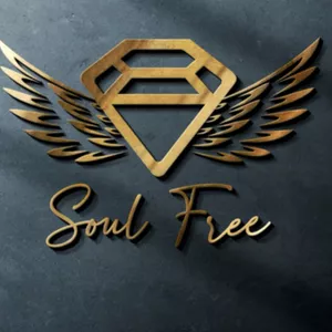 Imagem de capa para o Ebook PerCaminho Diário Soul FREE