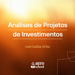 Imagem de capa para o Curso online Análises de Projetos de Investimento