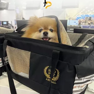 Imagem de capa para o Ebook Check-List Completo: viagem com cachorro para os Estados Unidos