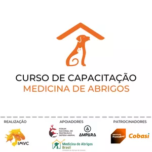 Imagem de capa para o Curso online Curso de Capacitação em Medicina de Abrigos