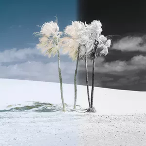 Imagem de capa para o Curso online Curso Online de Fotografia Infravermelha