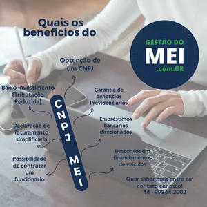 Imagem de capa para o Serviço online Gestão do MEI