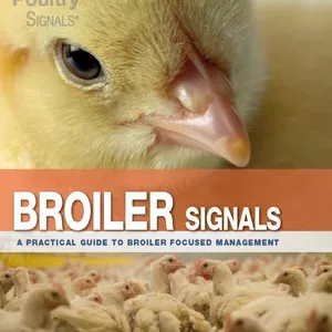 Cover image for Ebook Broiler Signals (English edition) A practical guide to broiler focused management