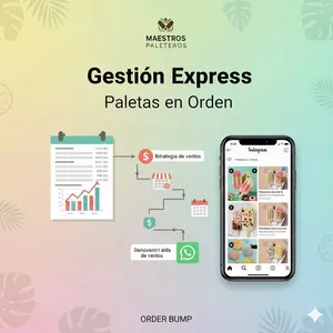 Imagen de portada para Ebook Gestión Express: Paletas en Orden