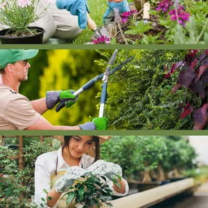 Imagem de capa para o Ebook e-Book:  Jardinagem para todos - O segredo das plantas (cuide do seu próprio jardim)