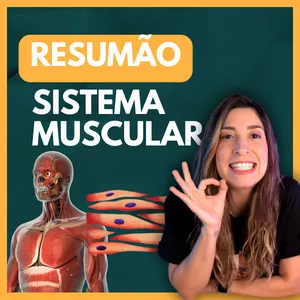 Imagem de capa para o Ebook Apostila: Resumão Sistema Muscular. Material de Apoio aulas Youtube.