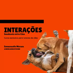 Imagem de Interações Saudáveis entre Cães criado por Emmanuelle Lima de Moraes na hotmart