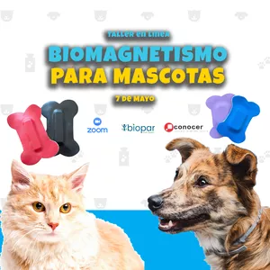 Imagen de portada para Curso online Biomagnetismo aplicado a mascotas