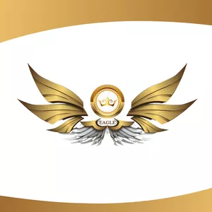 Imagem de capa para o Curso online Mentoria EAGLE