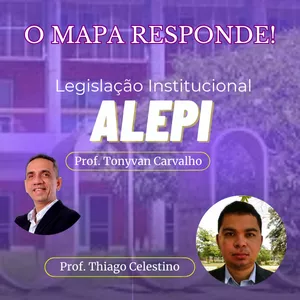 Imagem de capa para o Curso online Legislação Institucional para ALEPI