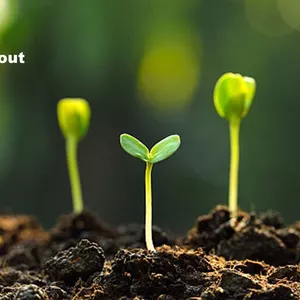 Cover image for Online course The SEED: Unlock the Secret to Sustainable Business Success Episode one of The Seed series
