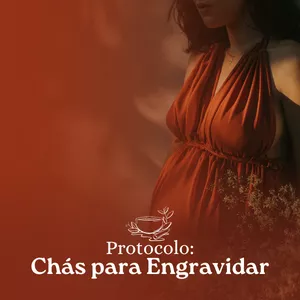 Imagem de capa para o Curso online Protocolo: Chás Para Engravidar