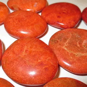 Cover image for Online course Constructive Coral