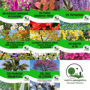 Imagem de capa para o Ebook COMBO 02 eBooks: Todas apostilas de espécies vegetais