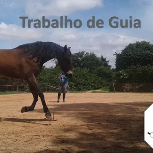 Imagem do curso Trabalho a Guia