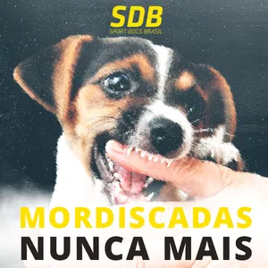 Curso MORDISCADAS NUNCA MAIS