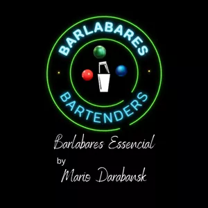Imagem de capa para o Ebook Barlabares Essencial – O Guia Completo para Bartenders