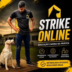 Imagem do curso Educação Canina  - Completo 