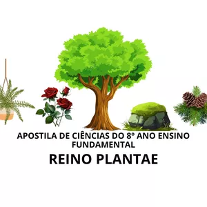 Imagem de capa para o Ebook REINO PLANTAE:  APOSTILA DE CIÊNCIAS DO 8º ANO ENSINO FUNDAMENTAL 