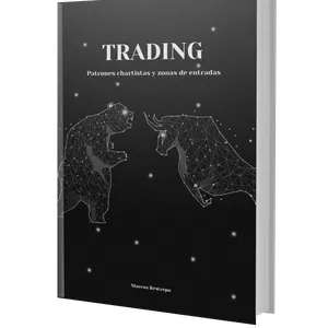 Imagen de portada para Ebook Trading- Patrones Chartistas Y Zonas De Entrada