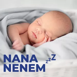 Imagen de portada para Curso online Nenem 