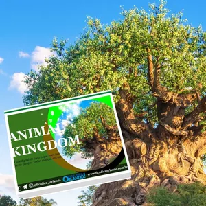 Imagem principal do produto eBook Animal Kingdom - Walt Disney World