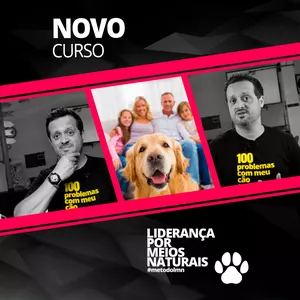 Imagem do curso Ensine seu cão sem precisar de adestrador - Método LMN 2.0