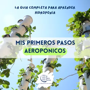 Imagen de portada para Ebook Mis primeros pasos Aeroponicos: la guia completa para aprender hidroponía