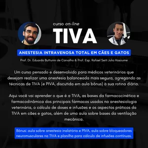 Imagem de capa para o Curso online TIVA em cães e gatos