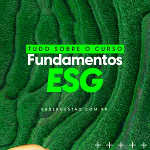Imagem de capa para o Curso online Fundamentos ESG