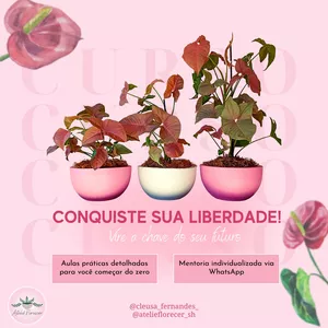 Imagem do curso Aprenda a Lucrar com Vasos: Transforme sua Paixão em Renda