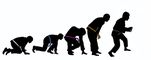 Jiu Jitsu Evolution Series
