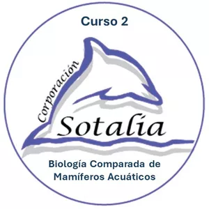 Imagen de portada para Curso online Curso 2. Biología Comparada de Mamíferos Acuáticos