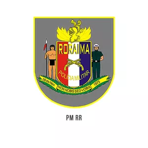 Imagem de capa para o Curso online Polícia Militar de Roraima