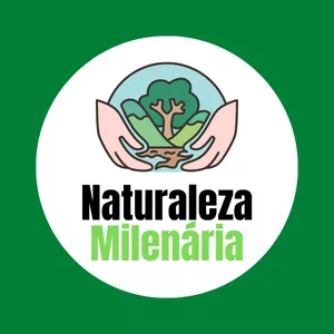 Imagen de portada para Ebook Naturaleza Milenária