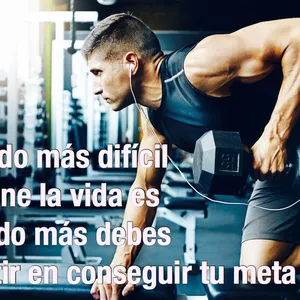 Imagen de portada para Curso online Avance Fitness Expertos