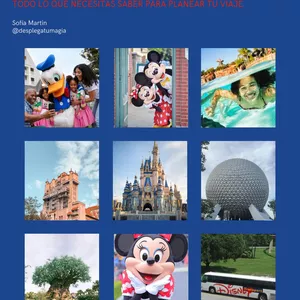 Imagen de portada para Ebook Walt Disney World- Guía básica