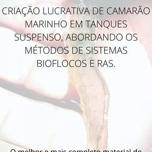 Imagem de capa para o Ebook CRIAÇÃO LUCRATIVA DE CAMARÃO MARINHO EM TANQUES SUSPENSO, ABORDANDO OS MÉTODOS DE SISTEMAS BIOFLOCOS E RAS.