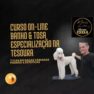 Imagem de capa para o Curso online Curso avançado de tosas na tesoura