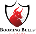Booming Bulls Academy Training School logo