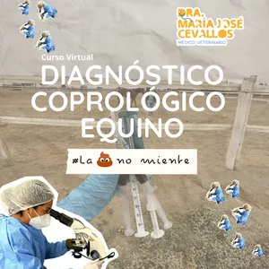 Imagen de portada para Curso online DIAGNÓSTICO COPROLÓGICO EQUINO #Lapopónomiente