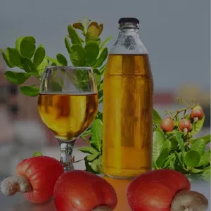 Imagem de capa para o Ebook Passo a passo da produção de cajuína 