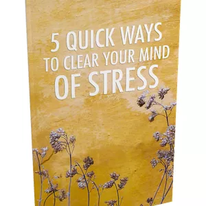 Imagem de capa para o Ebook 5 maneiras rápidas de limpar sua mente de estresse
