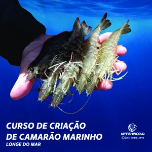 Curso CURSO DE CRIAÇÃO DE CAMARÃO MARINHO LONGE DO MAR