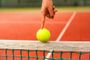 Sports Counseling Institute